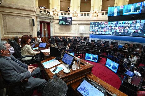 El Senado también homenajeó a Maradona