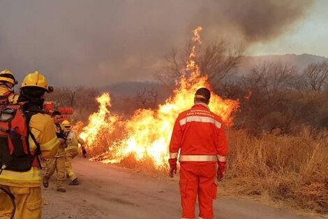 Incendios forestales: hay focos activos en cinco provincias