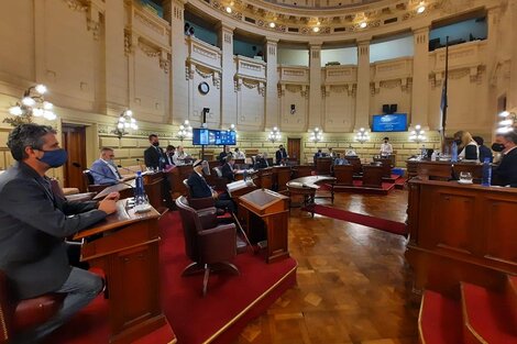 El Senado debatió el veto de paridad.