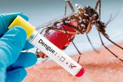 Confirmaron dos casos de dengue autóctono