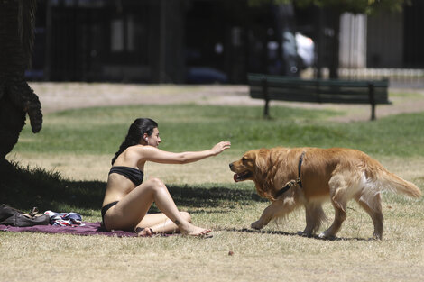 Clima en Buenos Aires: el pronóstico del tiempo para este miércoles 9 de diciembre 