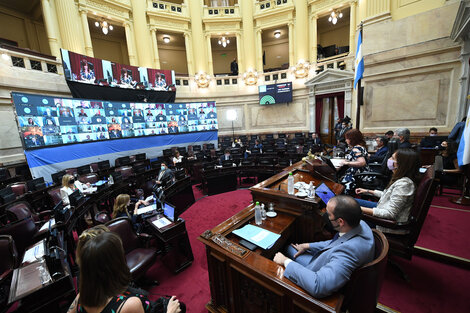 El Senado volvió a sesionar de forma remota.