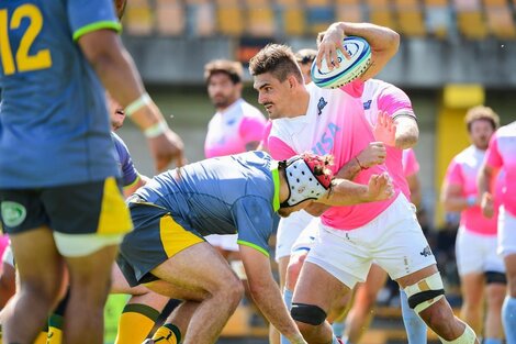 LA UAR dice que sigue investigando los tuits racistas de Los Pumas