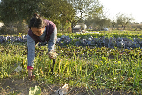 La iniciativa del Departamento Ejecutivo avanza sobre 800 hectáreas hoy ocupadas por actividades frutihortícolas