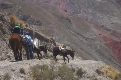 Cumplen 15 años llevando el cine en burro  a comunidades indígenas