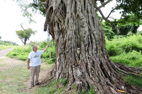 Salta contará con numerosos “Bosques de la poesía"