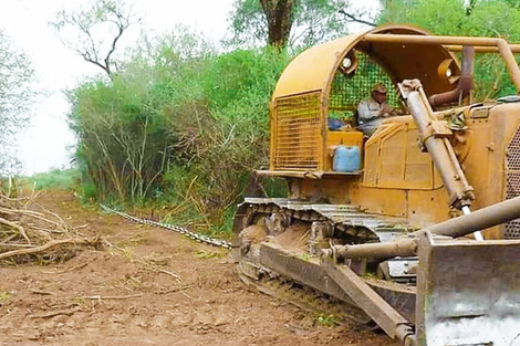 Audiencias públicas para deforestar más de 6 mil hectáreas