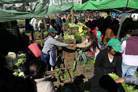 Feriazos navideños para que "a nadie le falte alimento”