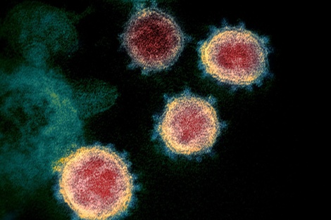 Nueva cepa del coronavirus: ¿Qué significa? ¿Por qué preocupa?