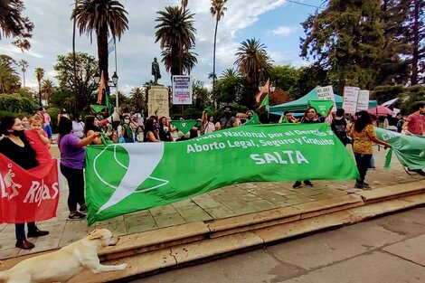 El Feminismo y Frente de Todos salteño piden el voto positivo de Leavy