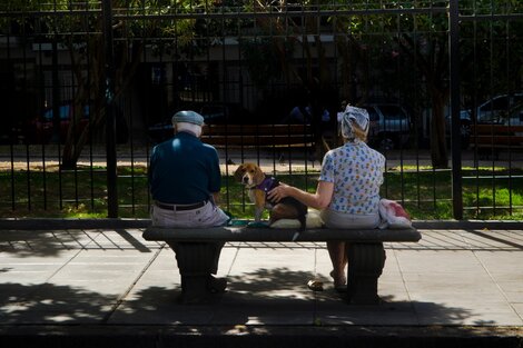 Las claves de la nueva movilidad jubilatoria