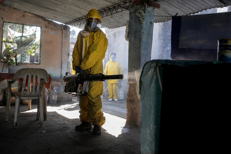 En Salta se registraron 12 casos de dengue autóctono y la provincia está en alerta.