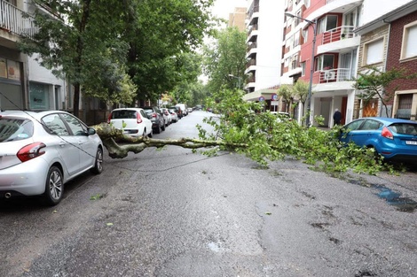 Un temporal azotó la Costa Atlántica