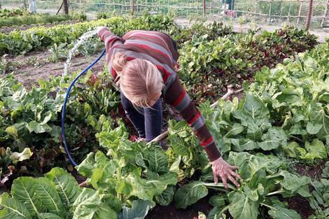 Rosario es pionera en producción agroecológica