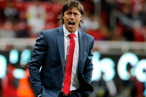 En Chile aseguran que Matías Almeyda dirigirá a la Roja