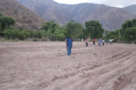 Jujuy: prohiben a un finquero acercarse a mujeres originarias en Volcán 