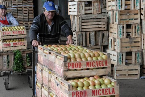 El presidente del Mercado Central cree que hay que controlar los cupos de exportaciones