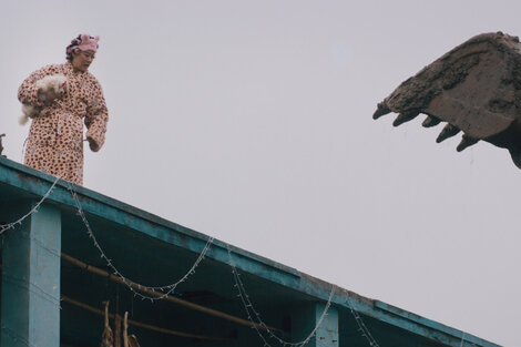 "Dead Pigs": difícil que el chancho chifle
