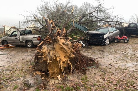 Caos en Estados Unidos por la tormenta invernal: fallecieron cinco personas