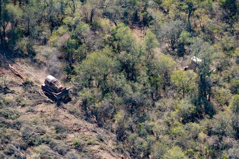 Aumentarán en Salta un 400 por ciento las multas para los desmontes ilegales