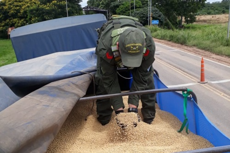 En Salta secuestraron más de 350 mil kilos de granos en lo que va de 2021 