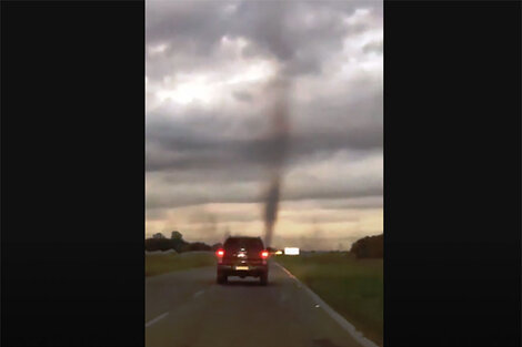 Pinamar: sorprendente "tornado de mosquitos"