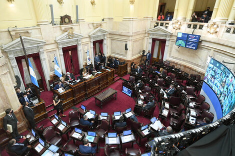 El Senado tuvo su última sesión del período extraordinario. 