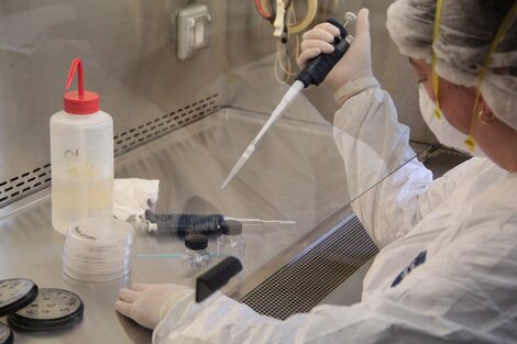 La estrategia de la investigación local es optimizar la metodología.