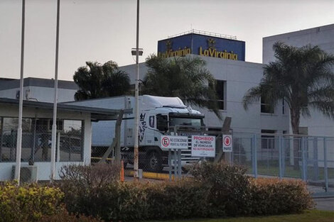 La Gendarmería que custodia el predio, no pudo evitarlo.