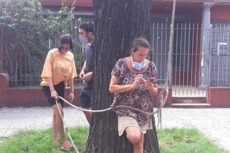 Se ató a un árbol e impidió que lo talara el Gobierno porteño