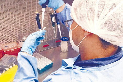 El análisis paleogenético tiene como objetivo recuperar trazas de ADN antiguo.