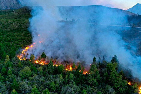 Declaran zona de desastre el área arrasada por los incendios en El Bolsón