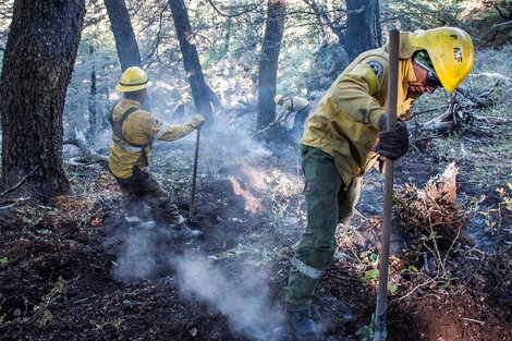 Incendios en Chubut: catamarqueños combaten focos en El Maitén