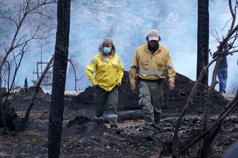 Incendios forestales: cuáles focos están controlados y cuáles continúan