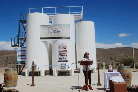 Tras 40 años postergados, el sector vitícola de Fiambalá recobra la esperanza