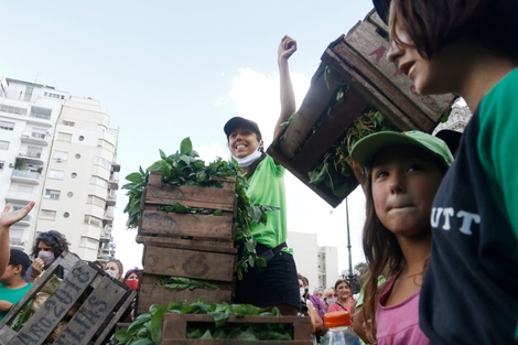 La Unión de Trabajadores de la Tierra organiza un Verdurazo en el Congreso