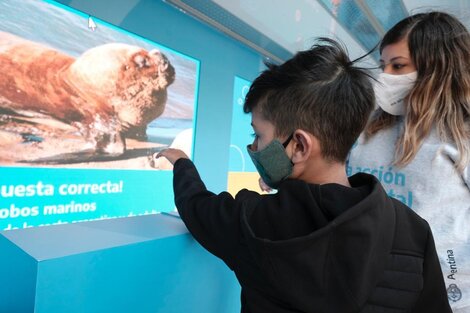 Ley de educación ambiental: cambiar paradigmas para sembrar futuro