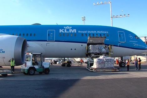 Las dosis arribaron este domingo en un vuelo proveniente de Holanda.