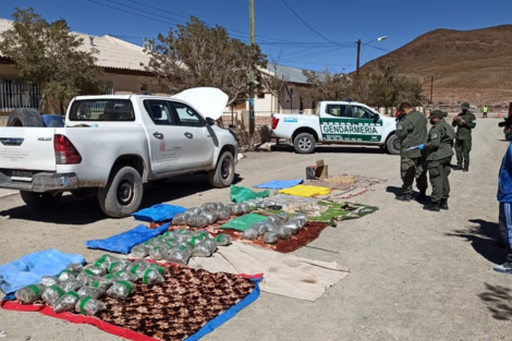 Salta: imputaron a un hombre que llevaba marihuana y cocaína a Chile 