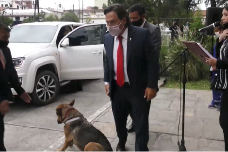 Largo discurso, legisladores aplaudidores y hasta un perro piquetero