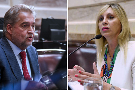Los senadores santafesinos Mirabella y Sacnun votaron ayer.
