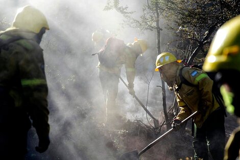 Un mes después de los incendios, la Comarca Andina se esfuerza en renacer de las cenizas