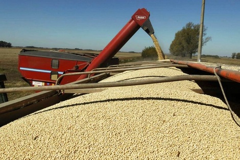 De qué se quejan en el campo