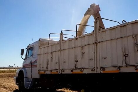 A días de la cosecha, productores salteños acordaron el precio del flete