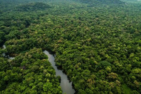 Argentina es deudor financiero pero acreedor ambiental