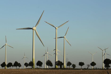 El medio ambiente en la agenda de la OMC