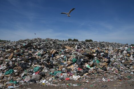 Multas inéditas por contaminación