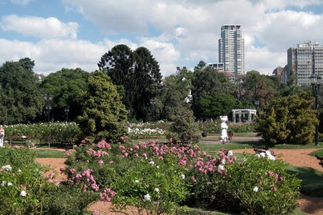 Clima en Buenos Aires: el pronóstico del tiempo para este domingo 16 de mayo