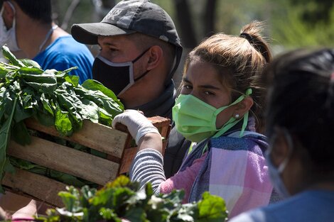 Lock out ganadero: organizaciones sociales harán un "verdurazo" en el Obelisco