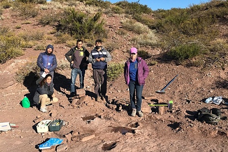 Dan a conocer un nuevo yacimiento con huellas de dinosaurios en Neuquén